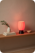 Aurora Coral Lamp