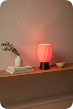 Aurora Coral Lamp